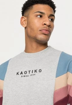 Kaotiko CREW SEATTLE UNISEX - Sweatshirt - Cement/blue/tierra -Kaotiko || Fire And Glory Populaire Magasin 718c303304804085b7da284a97b9ffc9