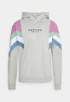 Kaotiko SUD CAP EWAN UNISEX - Kapuzenpullover - Grey/lila/fresh Green